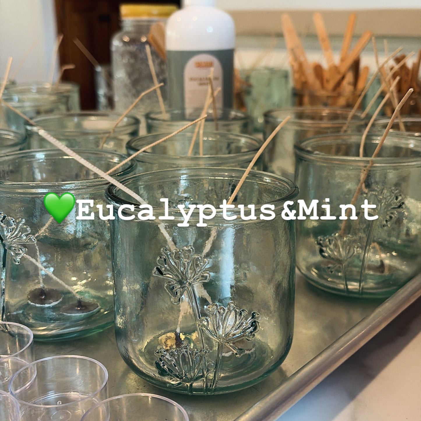 Eucalyptus & Mint -11oz