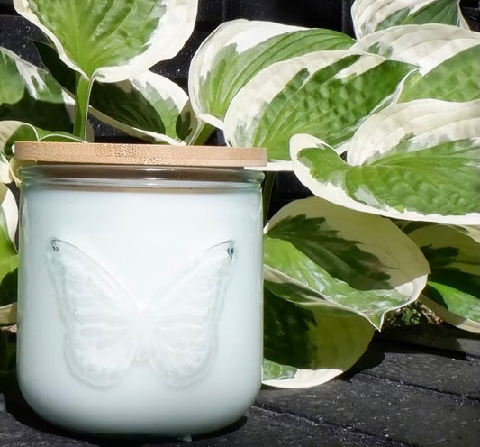 Quarterly Membership Candle🦋Box
